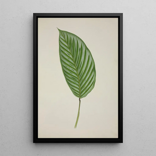 George De Alwis - Mon Jardin a Ceylan Pl086.webp