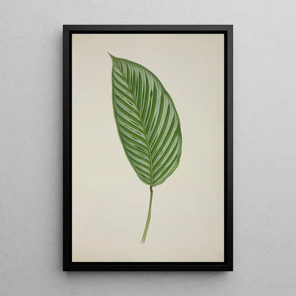 Mon Jardin à Ceylan Pl086 - George De Alwis — framed artwork on a wall