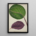 Mon Jardin à Ceylan Pl087 - George De Alwis — framed artwork on a wall