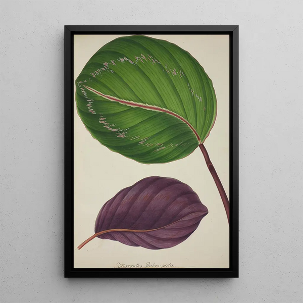 Mon Jardin à Ceylan Pl087 - George De Alwis — framed artwork on a wall