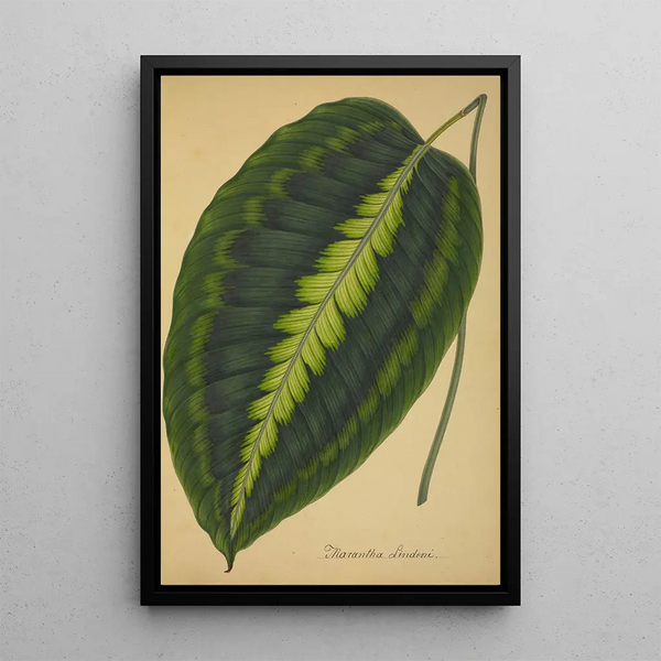 Mon Jardin à Ceylan Pl088 - George De Alwis — framed artwork on a wall