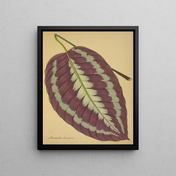 My Garden in Ceylan Pl089 - George De Alwis — framed artwork on a wall