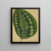 Mon Jardin à Ceylan Pl090 - George De Alwis — framed artwork on a wall