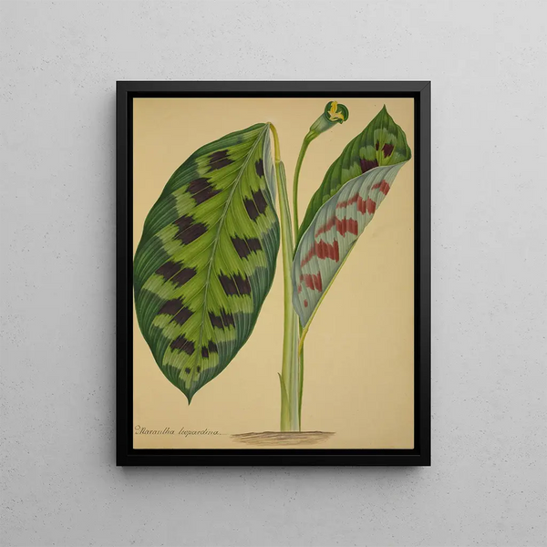 Mon Jardin à Ceylan Pl092 - George De Alwis — framed artwork on a wall