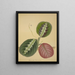 My Garden in Ceylon Pl094 - George De Alwis — framed artwork on a wall