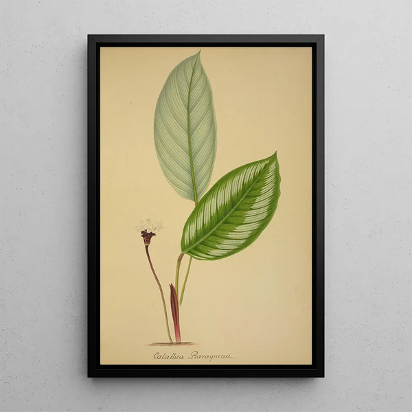 Mon Jardin à Ceylan Pl096 - George De Alwis — framed artwork on a wall