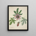 Mon Jardin à Ceylan Pl097 - George De Alwis — framed artwork on a wall