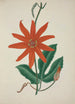 Mon Jardin à Ceylan Pl098 - George De Alwis — artwork view