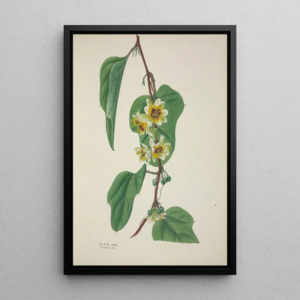 Mon Jardin à Ceylan Pl100 - George De Alwis — framed artwork on a wall