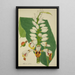 My Garden in Ceylon Pl102 - George De Alwis — framed artwork on a wall