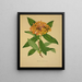 Mon Jardin à Ceylan Pl105 - George De Alwis — framed artwork on a wall