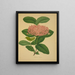 Mon Jardin à Ceylan Pl106 - George De Alwis — framed artwork on a wall