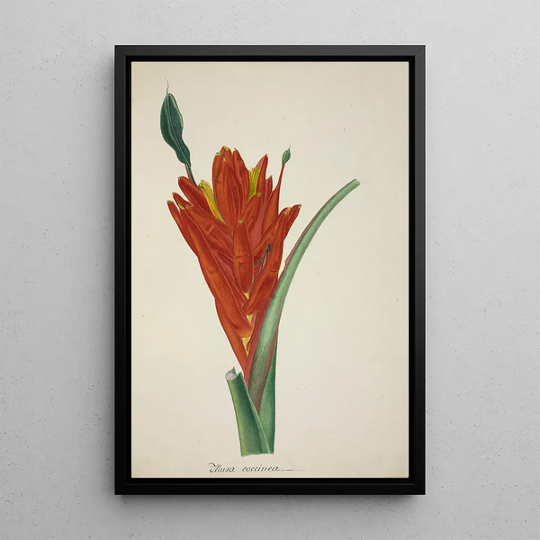 Mon Jardin à Ceylan Pl110 - George De Alwis — framed artwork on a wall