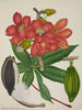 Mon Jardin à Ceylan Pl113 - George De Alwis — artwork view