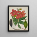 Mon Jardin à Ceylan Pl113 - George De Alwis — framed artwork on a wall