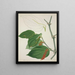 Mon Jardin à Ceylan Pl116 - George De Alwis — framed artwork on a wall