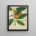 Mon Jardin à Ceylan Pl118 - George De Alwis — framed artwork on a wall