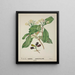 Mon Jardin à Ceylan Pl119 - George De Alwis — framed artwork on a wall