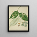 Mon Jardin à Ceylan Pl120 - George De Alwis — framed artwork on a wall