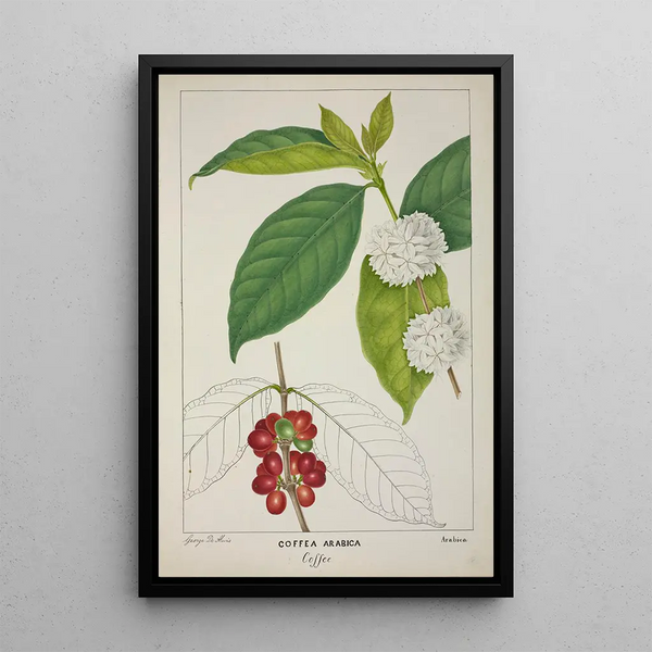 Mon Jardin à Ceylan Pl122 - George De Alwis — framed artwork on a wall