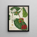 My Garden in Ceylon Pl123 - George De Alwis — framed artwork on a wall