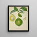 Mon Jardin à Ceylan Pl124 - George De Alwis — framed artwork on a wall