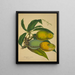 Mon Jardin à Ceylan Pl126 - George De Alwis — framed artwork on a wall
