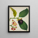 Mon Jardin à Ceylan Pl130 - George De Alwis — framed artwork on a wall