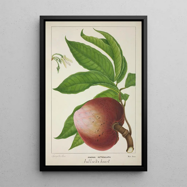 My Garden in Ceylon Pl132 - George De Alwis — framed artwork on a wall