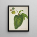 Mon Jardin à Ceylan Pl133 - George De Alwis — framed artwork on a wall