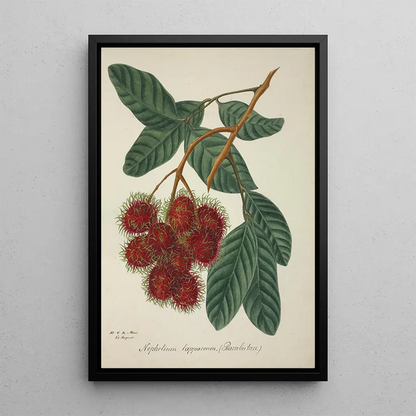 Mon Jardin à Ceylan Pl135 - George De Alwis — framed artwork on a wall