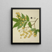 Mon Jardin à Ceylan Pl136 - George De Alwis — framed artwork on a wall