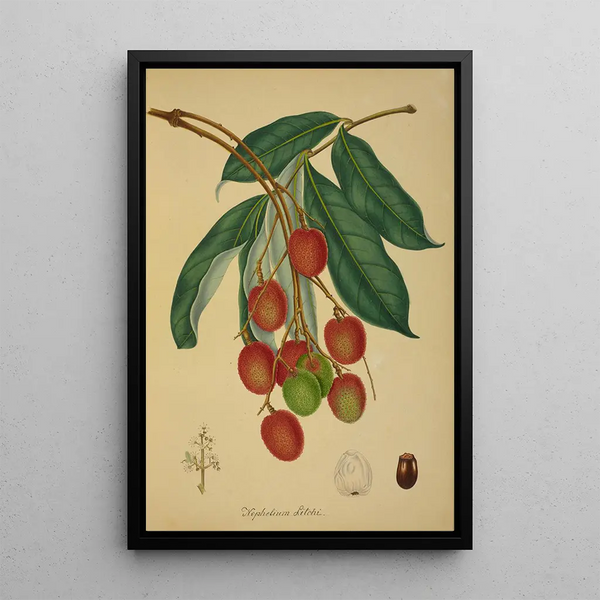 Mon Jardin à Ceylan Pl137 - George De Alwis — framed artwork on a wall