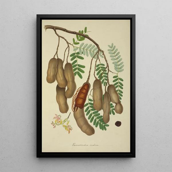 Mon Jardin à Ceylan Pl138 - George De Alwis — framed artwork on a wall