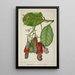 My Garden in Ceylon Pl139 - George De Alwis — framed artwork on a wall