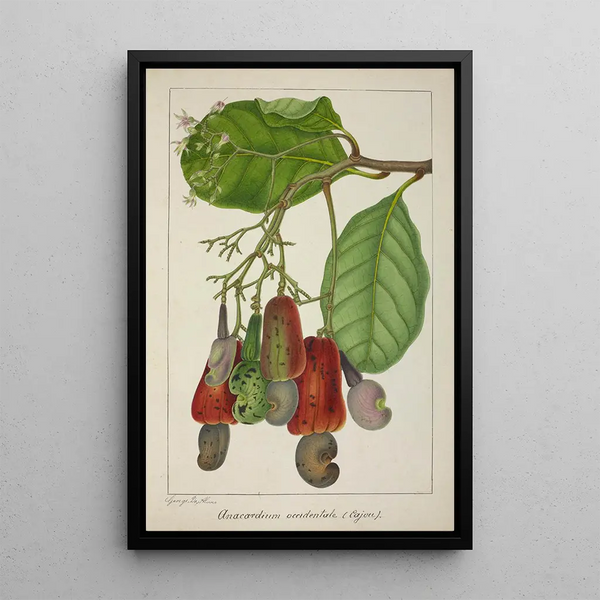 My Garden in Ceylon Pl139 - George De Alwis — framed artwork on a wall