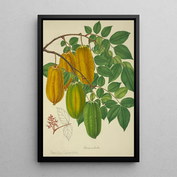 Mon Jardin à Ceylan Pl140 - George De Alwis — framed artwork on a wall