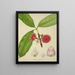 Mon Jardin à Ceylan Pl147 - George De Alwis — framed artwork on a wall