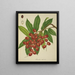 Mon Jardin à Ceylan Pl149 - George De Alwis — framed artwork on a wall