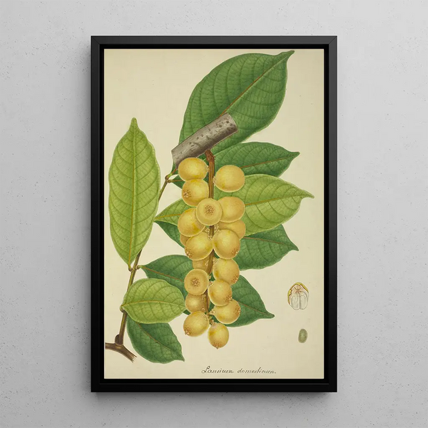 Mon Jardin à Ceylan Pl150 - George De Alwis — framed artwork on a wall