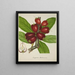 My Garden in Ceylon Pl151 - George De Alwis — framed artwork on a wall