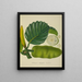 My Garden in Ceylon Pl153 - George De Alwis — framed artwork on a wall