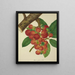 Mon Jardin à Ceylan Pl154 - George De Alwis — framed artwork on a wall