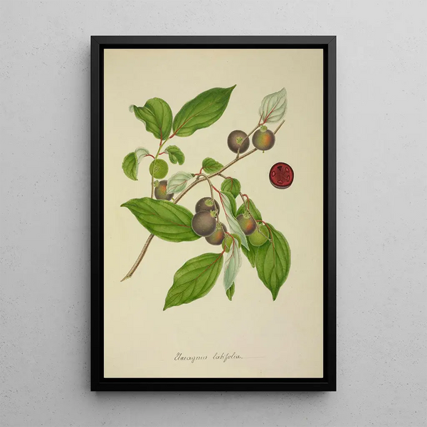 Mon Jardin à Ceylan Pl156 - George De Alwis — framed artwork on a wall
