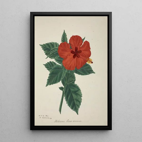 Mon Jardin à Ceylan Pl158 - George De Alwis — framed artwork on a wall