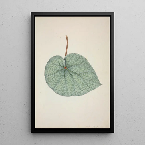 My Garden in Ceylon Pl162 - George De Alwis — framed artwork on a wall