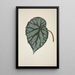 My Garden in Ceylon Pl164 - George De Alwis — framed artwork on a wall