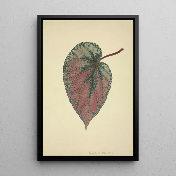 Mon Jardin à Ceylan Pl165 - George De Alwis — framed artwork on a wall