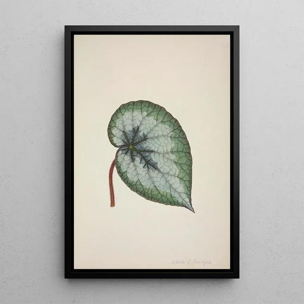 Mon Jardin à Ceylan Pl166 - George De Alwis — framed artwork on a wall
