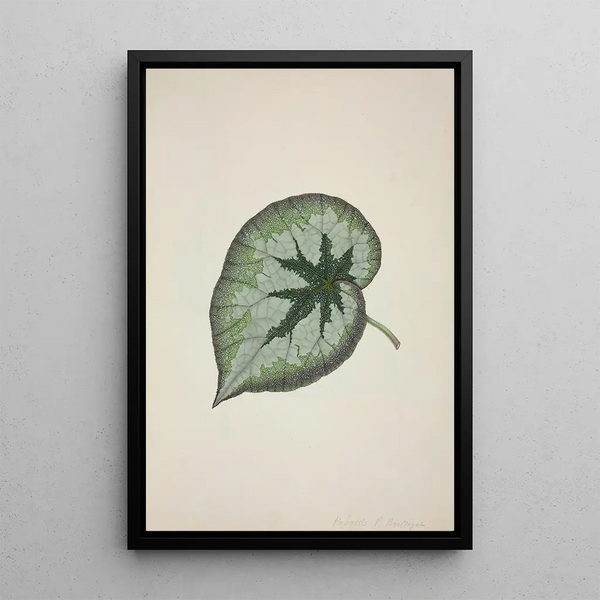 My Garden in Ceylan Pl167 - George De Alwis — framed artwork on a wall